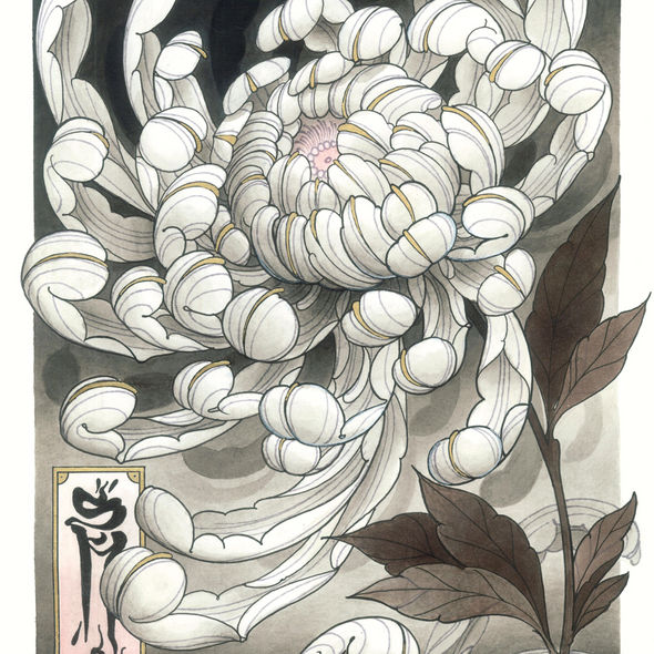Kiku