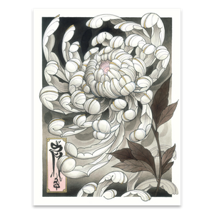 Kiku