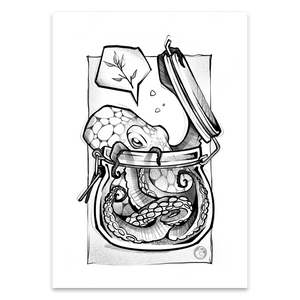 Oktopus Im Glas