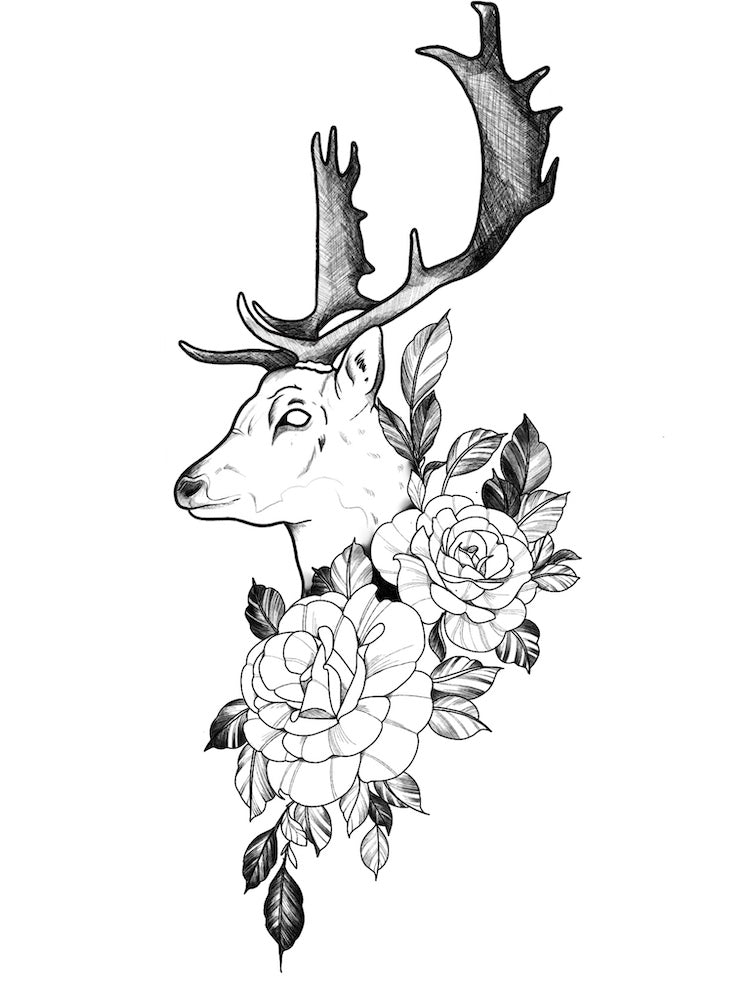 Fallow Deer