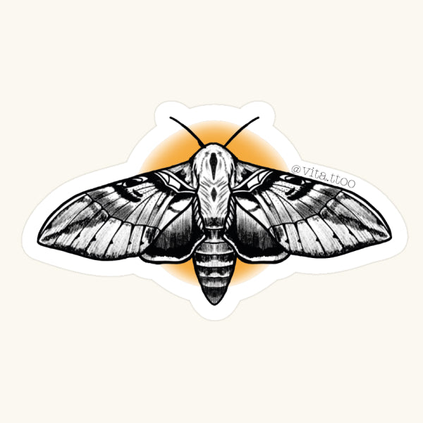 Moth