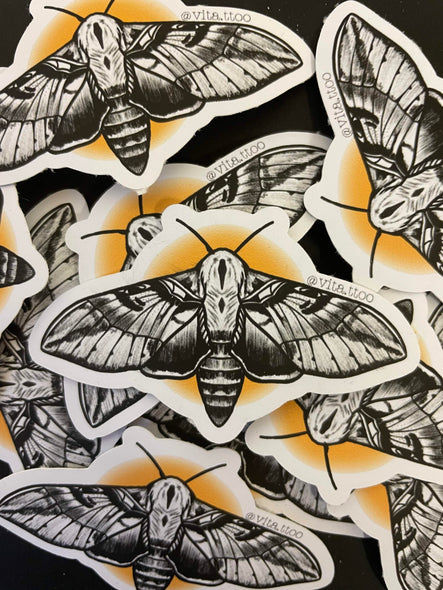 Moth