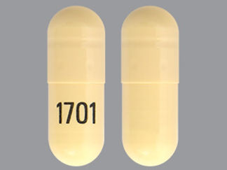 This is a Capsule imprinted with 1701 on the front, nothing on the back.