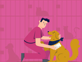 Vet petting a dog