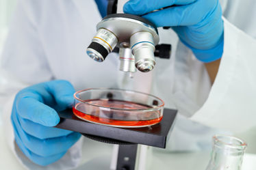 Microbiologist working research with a microscope in laboratory