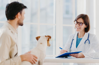 Man brings his pet dog to a vet examination in the clinic