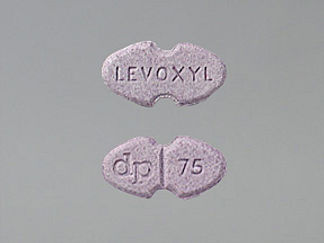 This is a Tablet imprinted with LEVOXYL on the front, dp  75 on the back.