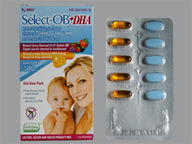 Select-Ob + Dha 29-1-250Mg Combination Package