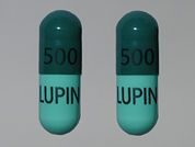 Cephalexin: This is a Capsule imprinted with 500 500 on the front, LUPIN LUPIN on the back.