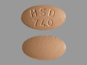 Zocor: This is a Tablet imprinted with MSD  740 on the front, nothing on the back.