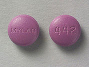 Amitriptyline-Perphenazine: This is a Tablet imprinted with MYLAN on the front, 442 on the back.