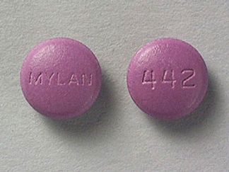 This is a Tablet imprinted with MYLAN on the front, 442 on the back.