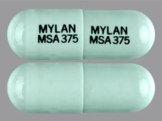 Esto es un Cápsula Er 24 Hr imprimido con MYLAN  MSA 375 en la parte delantera, MYLAN  MSA 375 en la parte posterior, y es fabricado por None.