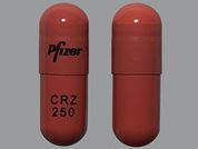 Xalkori: This is a Capsule imprinted with Pfizer on the front, CRZ  250 on the back.