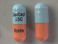 Cápsula de 250 Mg de Cellcept