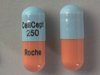 This is a Capsule imprinted with CellCept  250 on the front, Roche on the back.