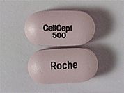 Cellcept: This is a Tablet imprinted with CellCept  500 on the front, Roche on the back.