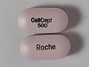 Cellcept: Esto es un Tableta lavanda oblongo imprimido con CellCept  500 en la parte delantera, Roche en la parte posterior, y es fabricado por GENENTECH, INC..