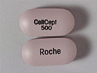 This is a Tablet imprinted with CellCept  500 on the front, Roche on the back.