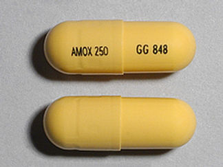 This is a Capsule imprinted with AMOX 250 on the front, GG 848 on the back.