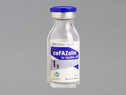 Cefazolin Sodium: Esto es un Vial imprimido con nada en la parte delantera, nada en la parte posterior.