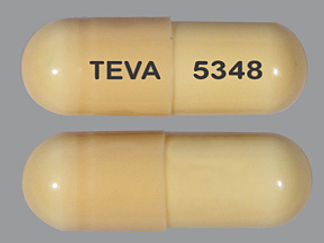 This is a Capsule Er Biphasic 50-50 imprinted with TEVA on the front, 5348 on the back.