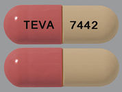 Fluvastatin Sodium: This is a Capsule imprinted with TEVA on the front, 7442 on the back.