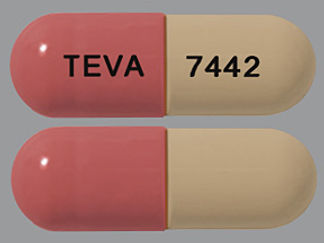 This is a Capsule imprinted with TEVA on the front, 7442 on the back.