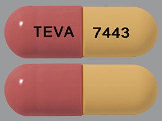 This is a Capsule imprinted with TEVA on the front, 7443 on the back.