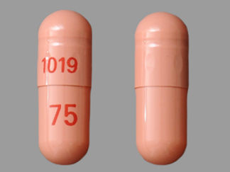 This is a Capsule Er 24 Hr imprinted with 1019 on the front, 75 on the back.