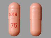 Venlafaxine Hcl Er: This is a Capsule Er 24 Hr imprinted with 1019 on the front, 75 on the back.