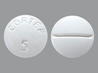 Cortef 5 Mg null