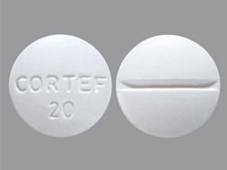 This is a Tablet imprinted with CORTEF  20 on the front, nothing on the back.