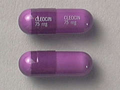 This is a purple oblong Capsule imprinted with CLEOCIN  75 MG on the front, CLEOCIN  75 MG on the back, and is manufactured by PHARMACIA-UPJHN.