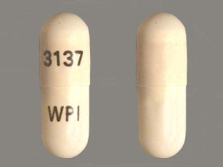 This is a Capsule imprinted with 3137 on the front, WPI on the back.