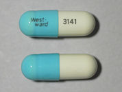 Morgidox: This is a Capsule imprinted with West-ward  3141 on the front, nothing on the back.