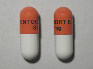 This is a Capsule Delayed And Er imprinted with ENTOCORT EC  3 mg on the front, nothing on the back.