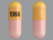 Clomipramine Hcl: This is a Capsule imprinted with 1066 on the front, nothing on the back.