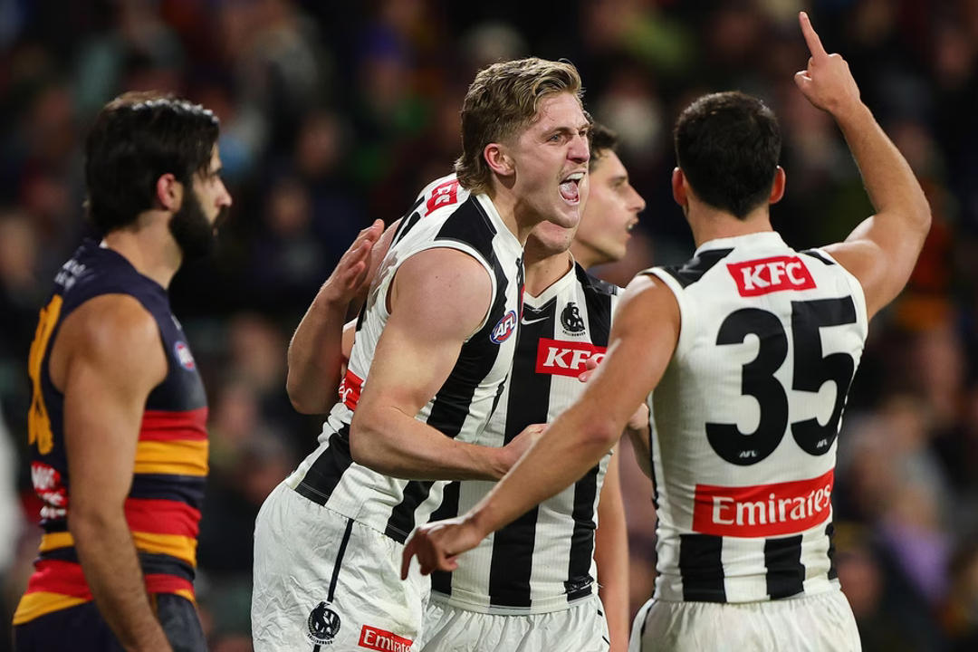 Collingwood players celebrate during AFL match against Adelaide Crows