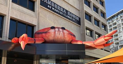Giant red inflatable crab sculpture with extended arms mounted on Canberra House building facade