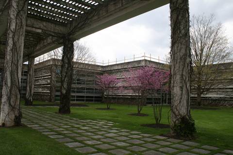 File image: Courtyard with stone pillars, pink blossoming trees, brutalist building