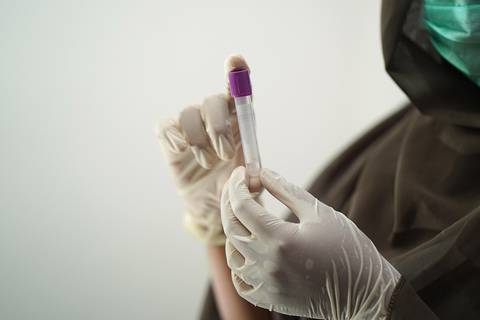 File image: Gloved hands holding a purple-capped blood collection vial in clinical setting