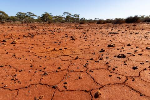 File image: Cracked dry earth with scattered rocks, sparse vegetation background