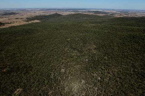 File image: Aerial view of dense bushland and open plains beyond