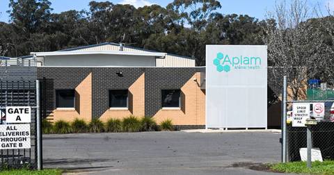 Apiam Animal Health facility building in brick and metal, Australian landscape.