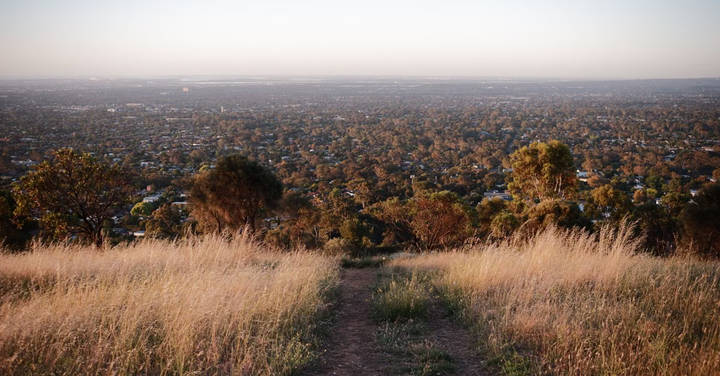 File image: Hillside dirt trail overlooking vast tree-lined suburban sprawl