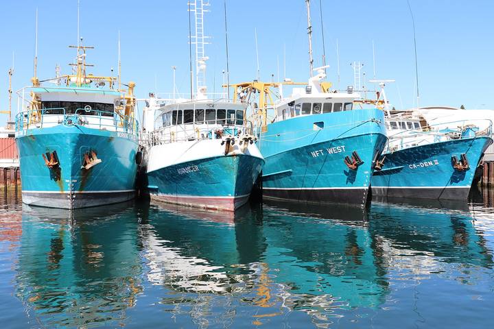 File image: Three commercial fishing vessels moored at a working waterfront harbor