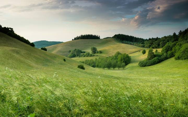 File image: Rolling green hills with scattered trees under cloudy sky