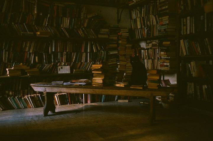 File image: Dimly lit bookshop interior with shelves and stacked books