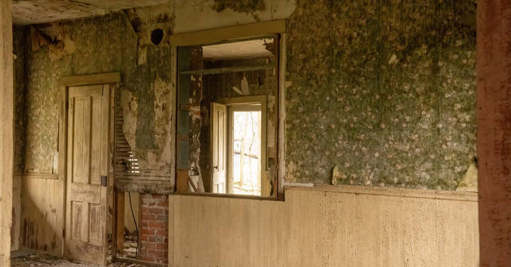 File image: Dilapidated room interior with peeling floral wallpaper, boarded windows, wooden paneling, visible decay.